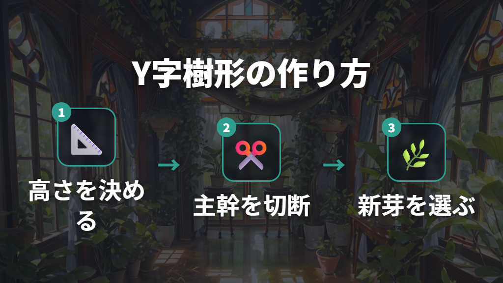 理想のY字樹形を作る剪定の手順