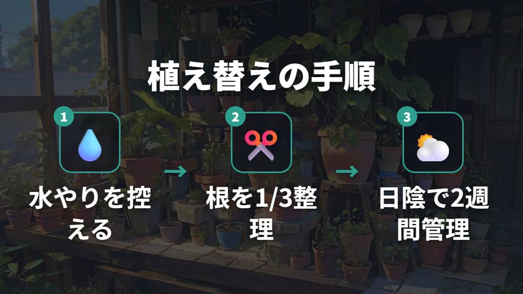 植え替えと根の剪定で成長ペースをコントロールする