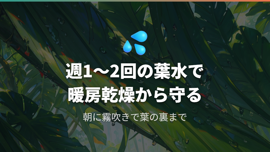 暖房乾燥から守る葉水のコツと湿度対策
