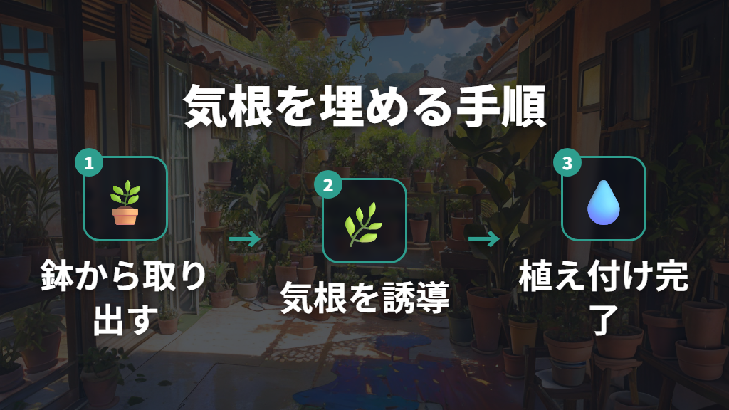 ガジュマルの気根を土に埋める具体的な手順