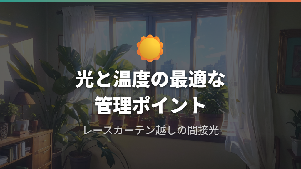 置き場所と光・温度の適切な管理