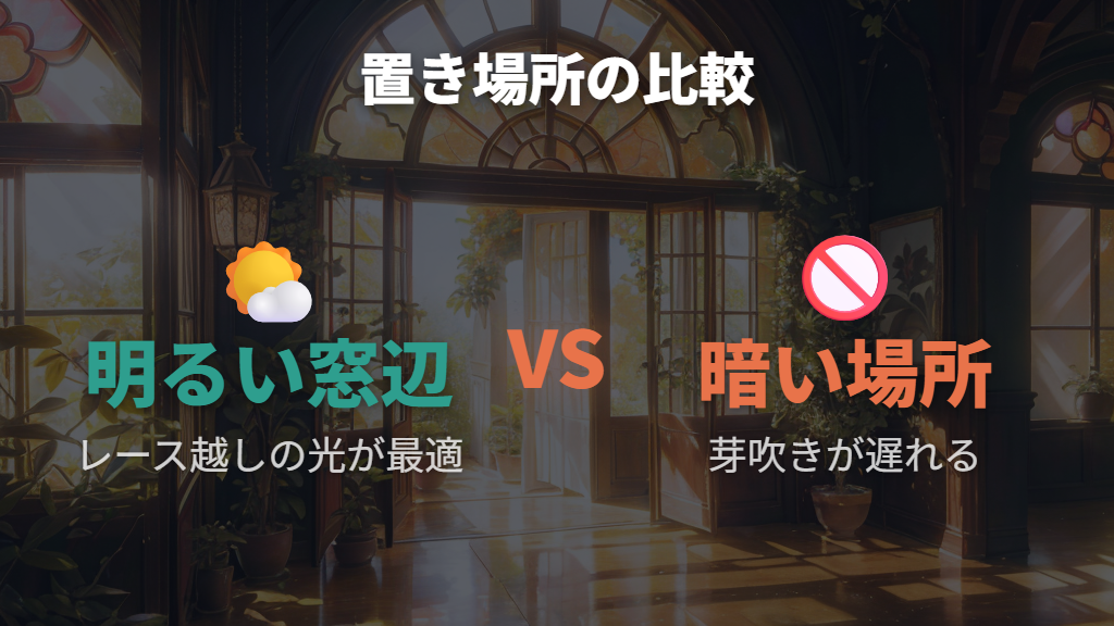明るい場所と温度管理で新芽の芽吹きを後押しする