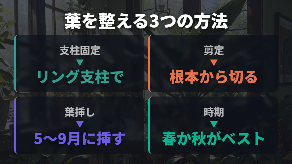 伸びすぎた葉を整える剪定・支柱・葉挿しの方法