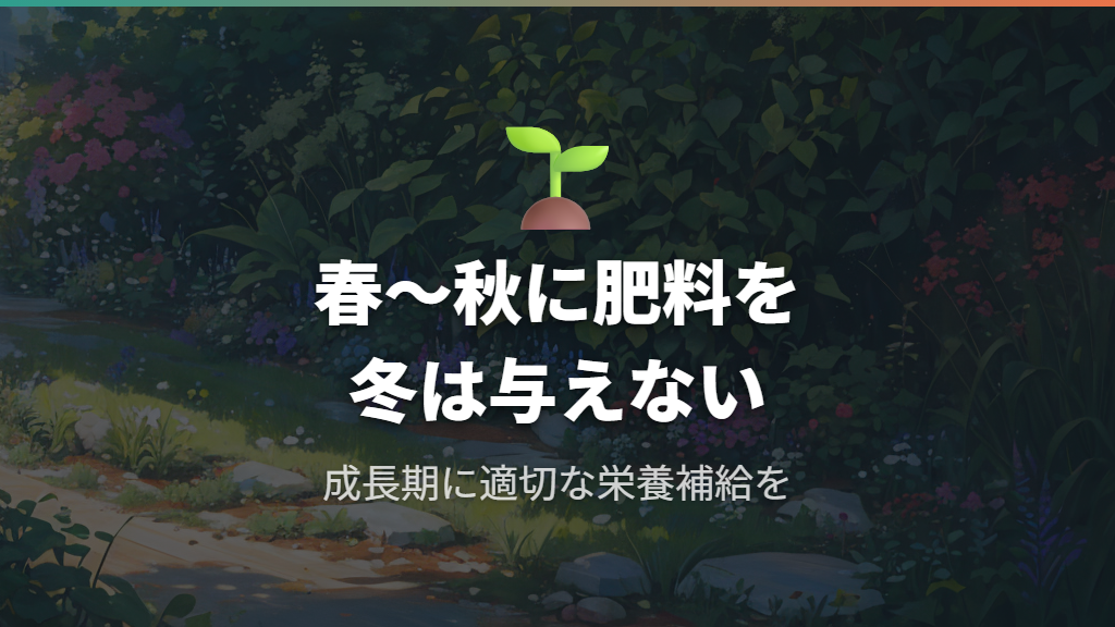 パキラを外で育てる際の肥料の与え方と成長管理