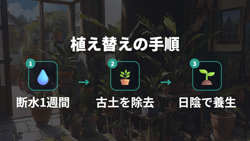 植え替えの適切な時期と手順・注意点