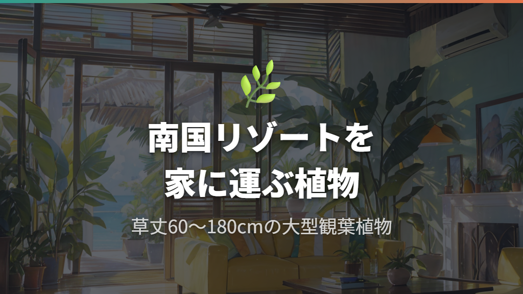 オーガスタの基本プロフィールと魅力｜南国リゾートを家に