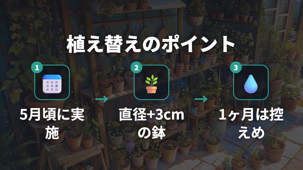 根詰まりを解消する植え替えのタイミングと注意点