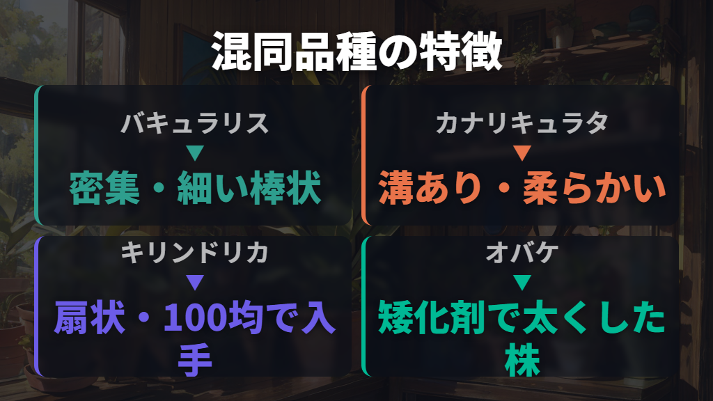 バキュラリス・カナリキュラタ・「オバケ」との見分け方