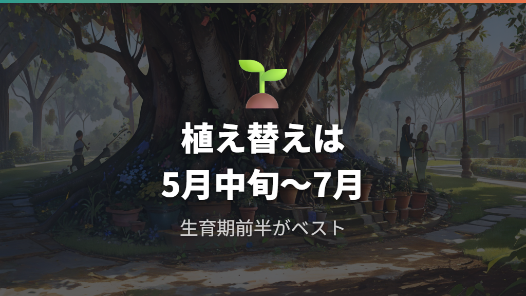 鉢植えから地植えへの植え替え手順と時期
