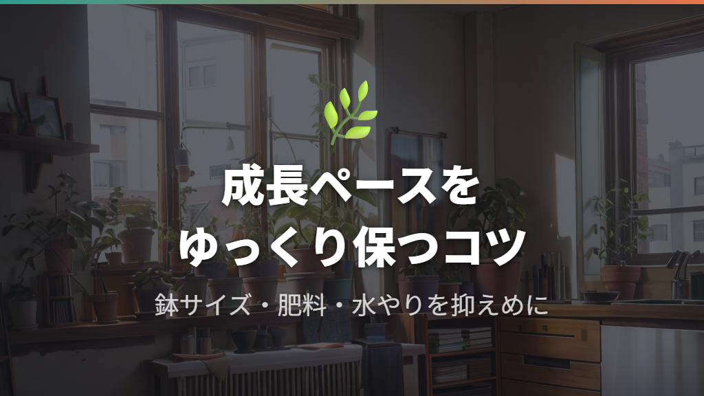 日常管理でガジュマルの成長をゆっくりにするコツ