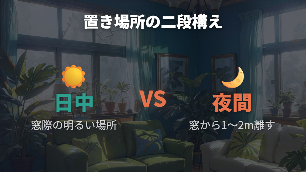 冬の置き場所と窓際・底冷えの寒さ対策