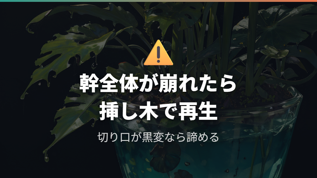 元株の復活を諦めるべき状態の見分け方