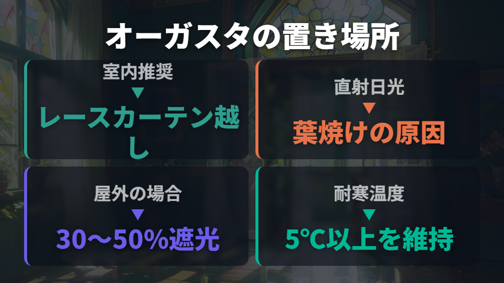 オーガスタを枯らさない！光・温度・置き場所の管理法