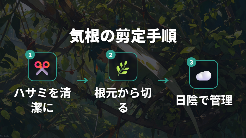 ガジュマルの気根の剪定方法と作業後の注意点