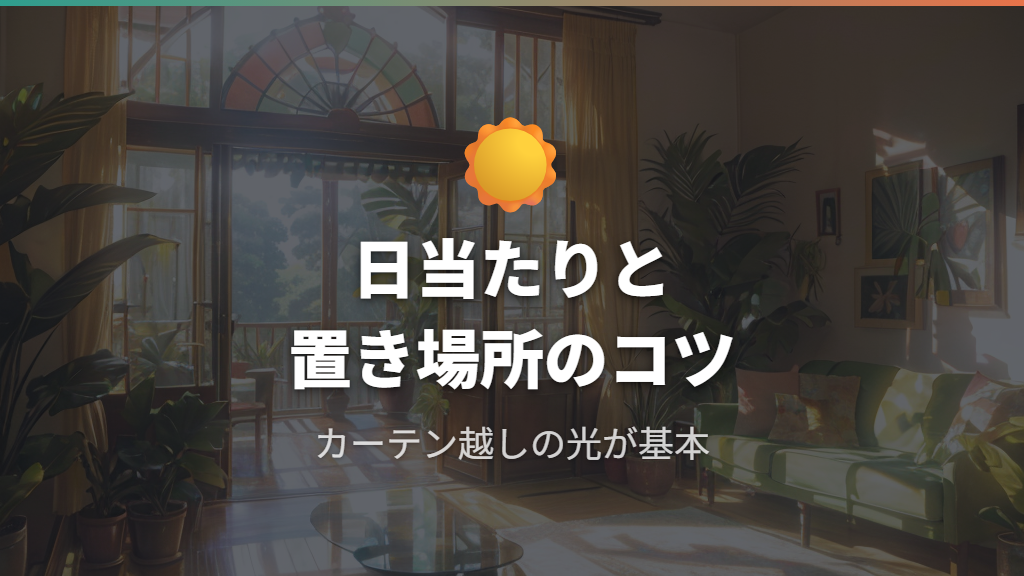 日当たりと置き場所——マドカズラとモンステラに適した環境