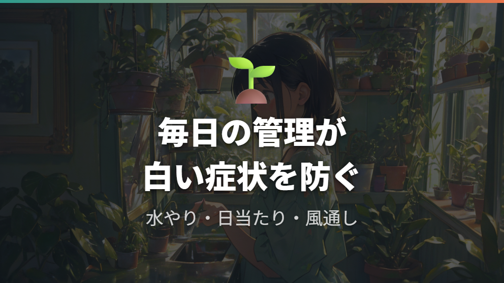 白くなる症状を防ぐガジュマルの日常管理と予防