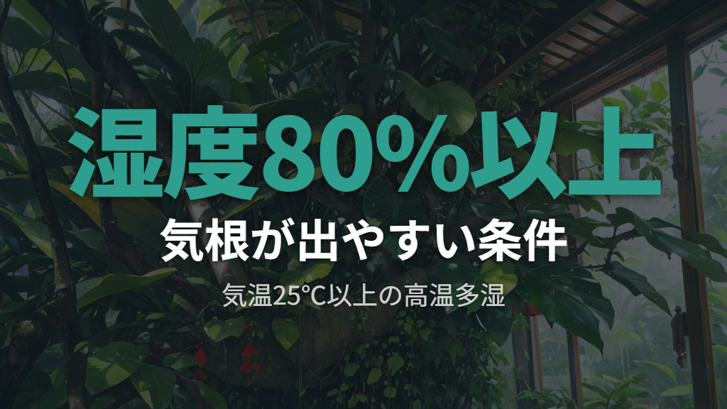 気根が出る条件：湿度と温度を整えて気根を増やすコツ