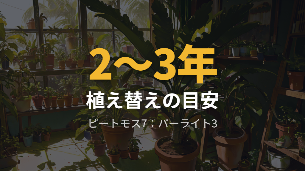 植え替えのタイミングと土選び｜根腐れを防ぐコツ