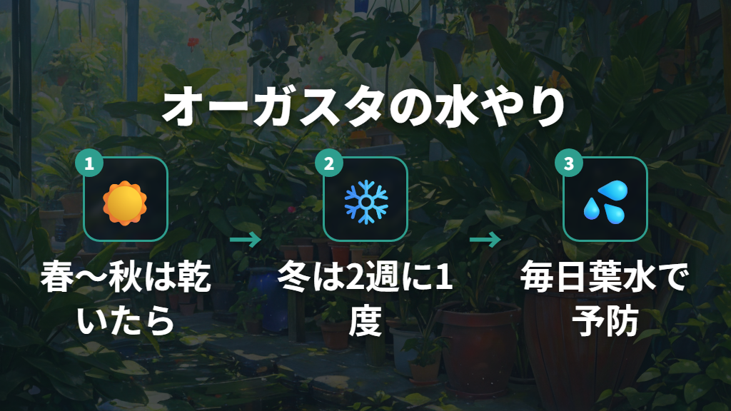 季節に合わせた水やりの極意と葉水の効果的なやり方