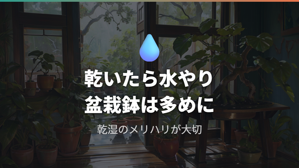 根上がり後の水やりと土の管理