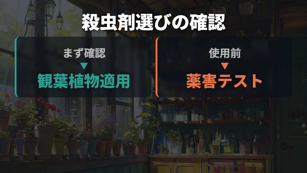 観葉植物に使えるカメムシ用殺虫剤の選び方