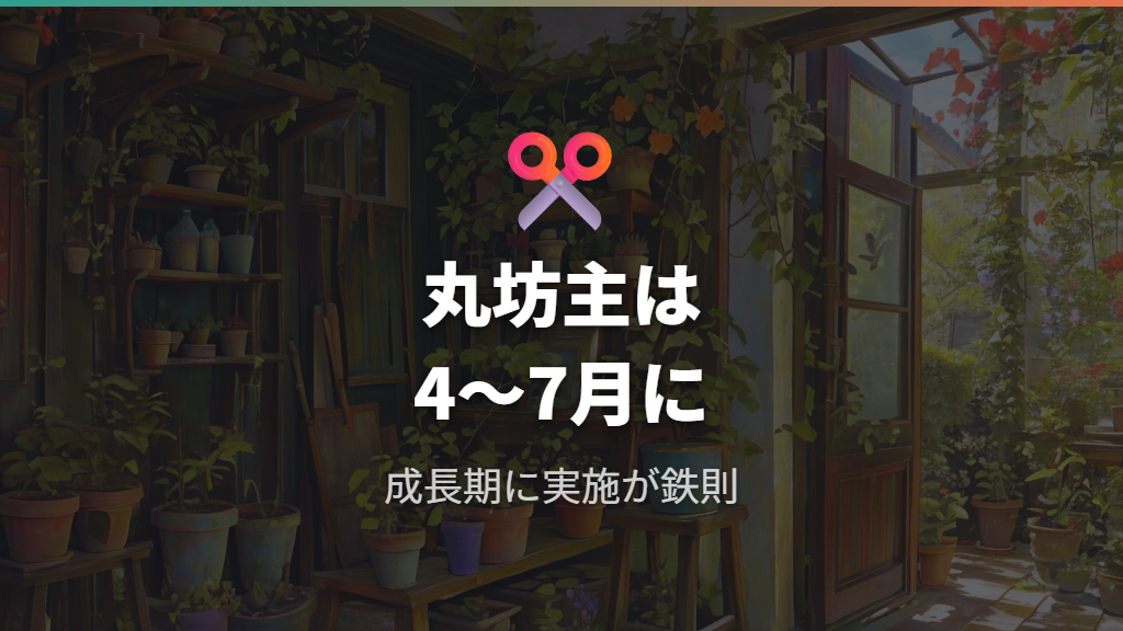 次回の失敗を防ぐ正しい丸坊主のやり方と準備
