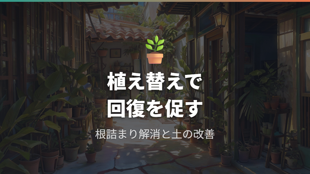 ガジュマルが白くなる症状が進んだときの植え替えと回復のポイント
