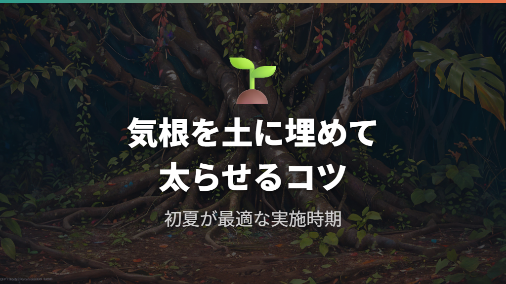 気根を土に埋めて太らせる応用テクニック