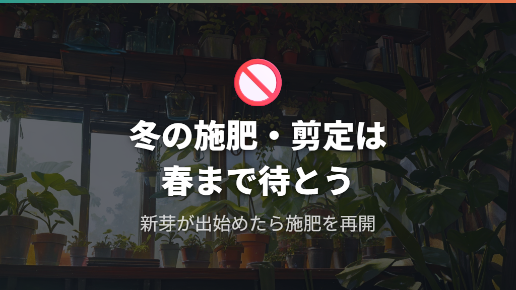 冬に肥料・剪定を控えるべき理由と再開のタイミング
