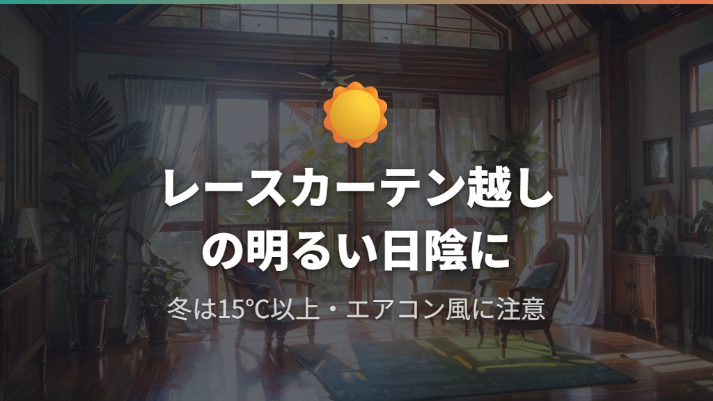 再発を防ぐウンベラータの日常管理と置き場所のポイント