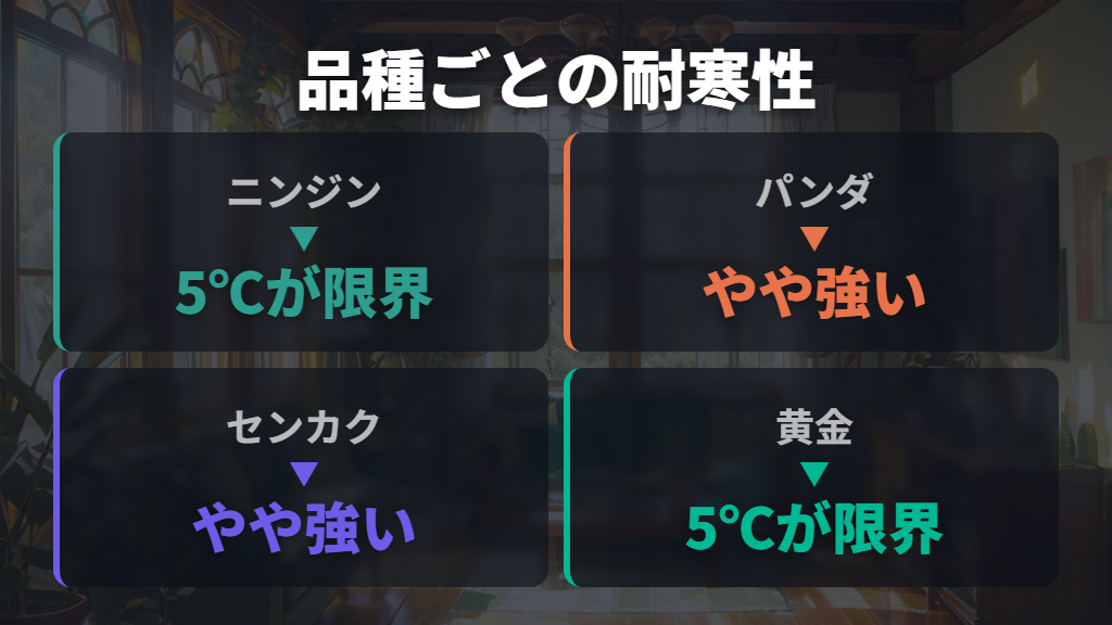 ガジュマルの冬越し対策と品種ごとの特徴