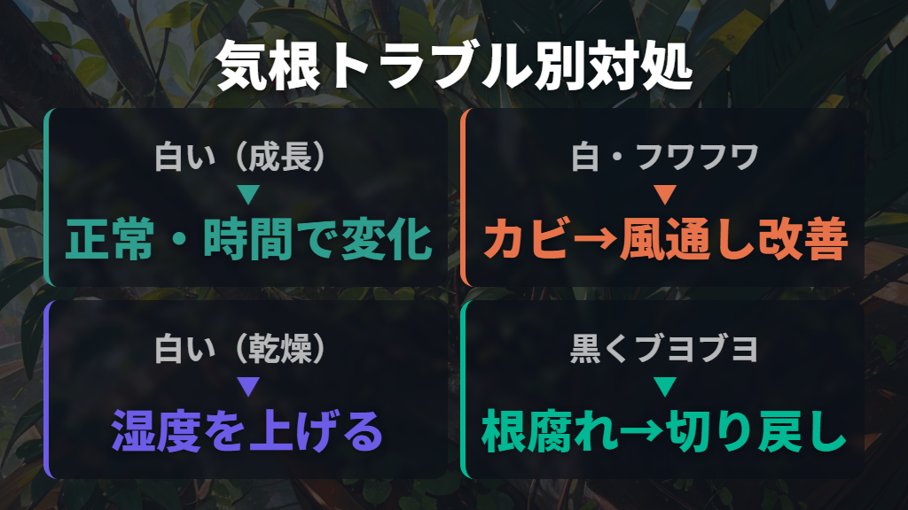 埋めた気根のトラブル対処：白い・黒い・腐るサインと原因