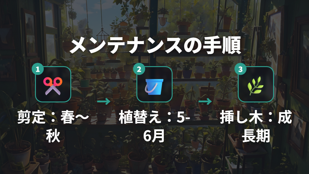 剪定・植え替え・増やし方（挿し木）のタイミングと方法