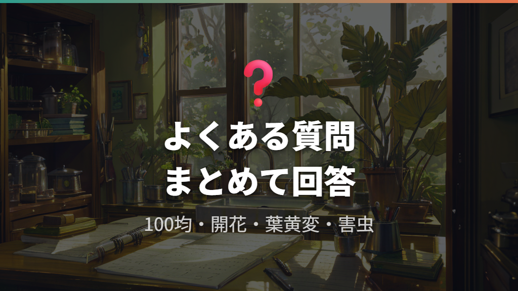 実生パキラのよくある質問とトラブル対処