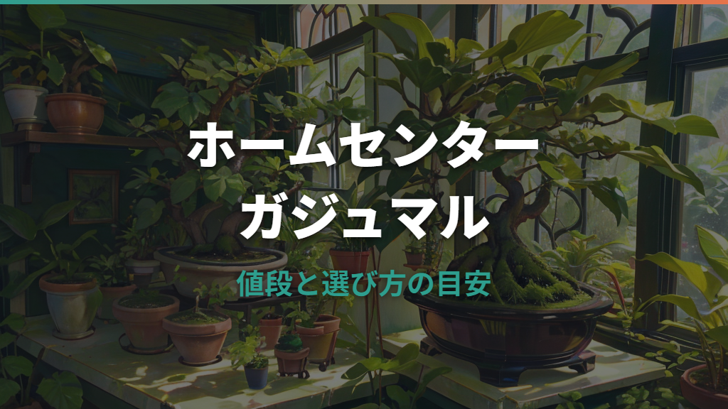 ホームセンターでガジュマルは買える？値段・時期・元気な株の選び方