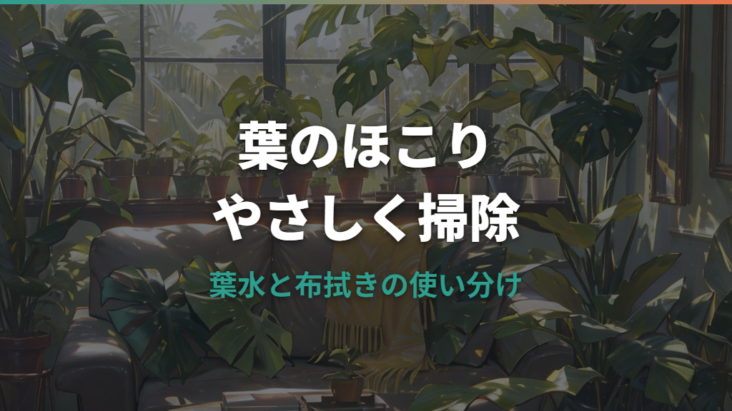 観葉植物のほこりは放置NG？葉を傷めない掃除方法と葉水・シャワーの使い分け