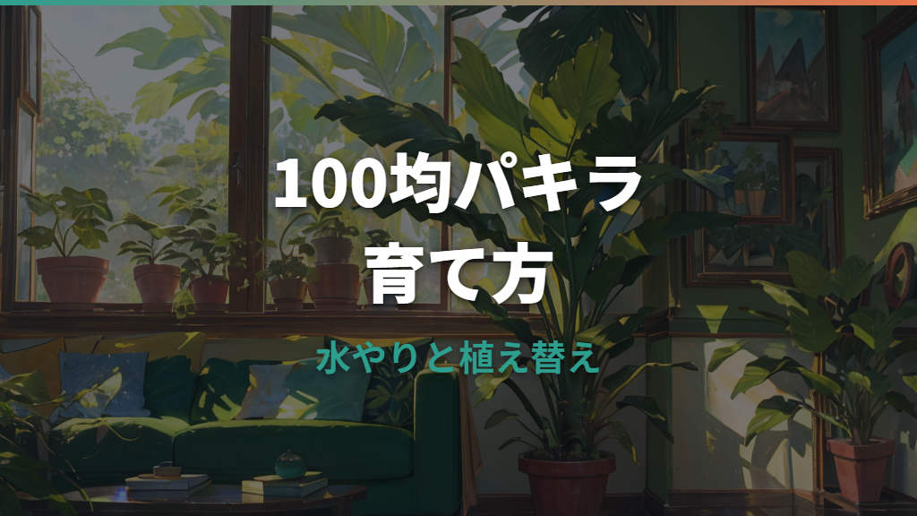 100均パキラの育て方｜枯らさない水やり・植え替え・大きく育てるコツ