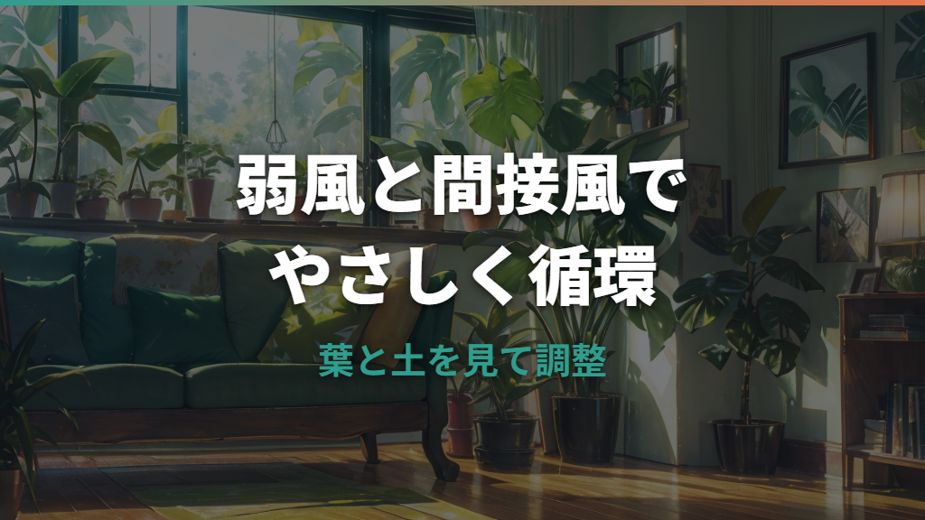 観葉植物のサーキュレーターの当て方は？向き・距離・置き場所をやさしく整理