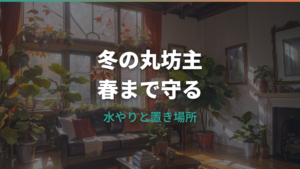 ウンベラータが冬に丸坊主になったら復活する?原因と春までの管理
