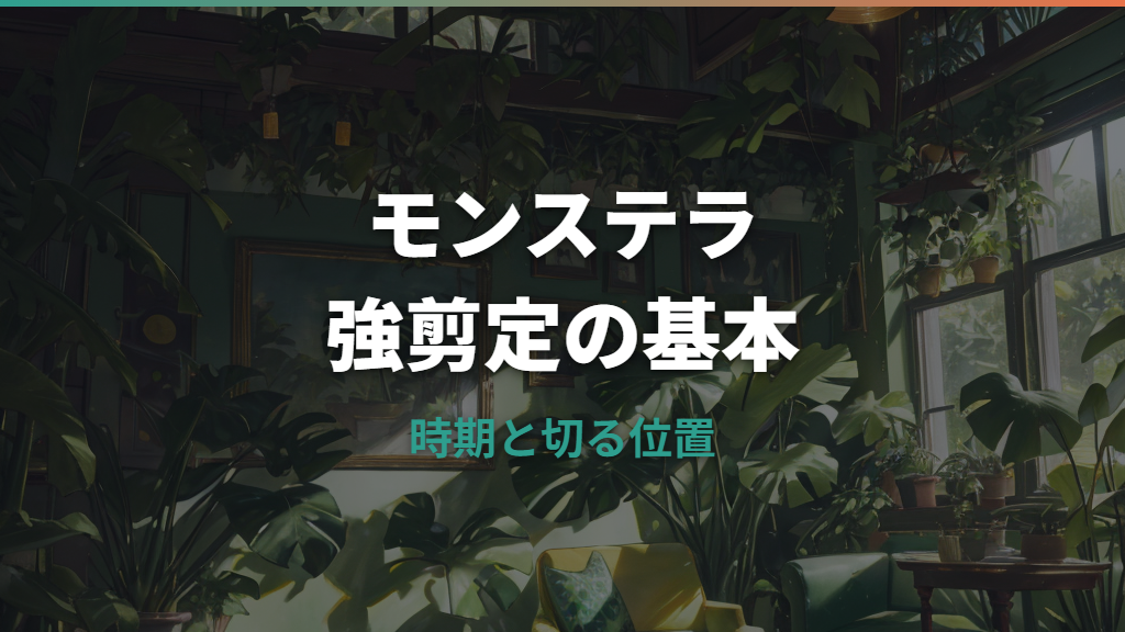モンステラの強剪定はどこまで切る？時期・切る位置・剪定後の管理を解説