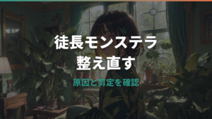 モンステラの徒長は戻せる?原因・見分け方・剪定と支柱の仕立て直し