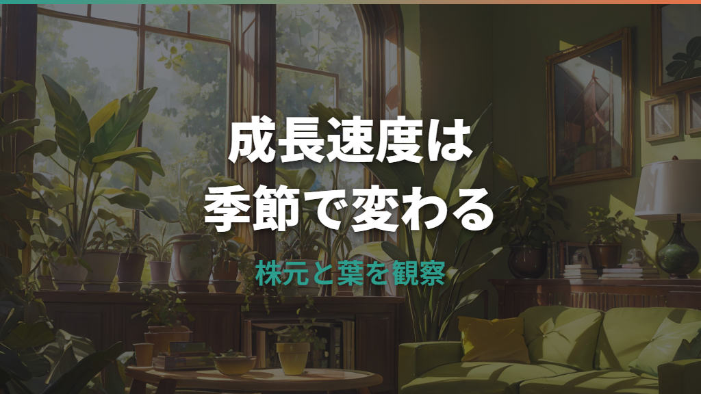 サンスベリアの成長速度は早い？季節差と伸びない原因を整理