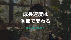 モンステラの成長速度はどのくらい？季節別の目安と大きく育てるコツ