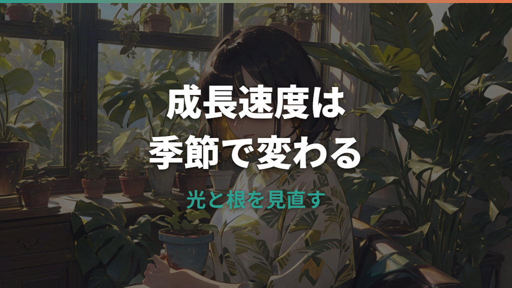 モンステラの成長速度はどのくらい？季節別の目安と大きく育てるコツ