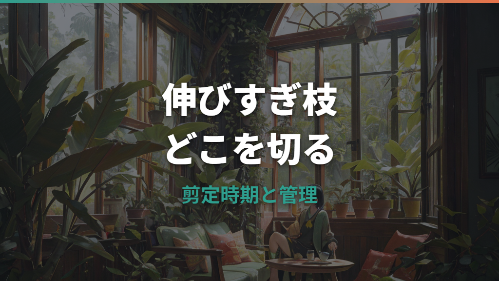 ガジュマルが伸びすぎたらどこを切る?剪定時期と枯らさない管理