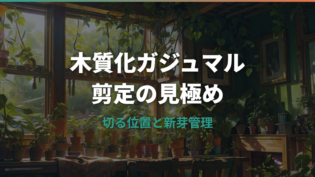ガジュマルの木質化と剪定はどうする？切る位置・時期・新芽管理まで解説