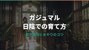 ガジュマル日陰でも育つ？置き場所と育て方のコツ