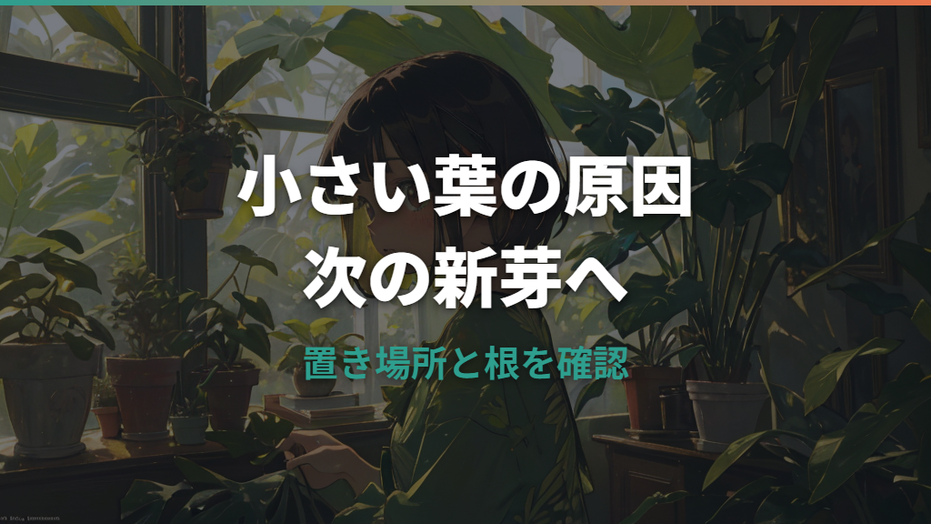 モンステラで小さい葉ばかり出る原因は？切れ込みと大きい葉を育てる見直し方