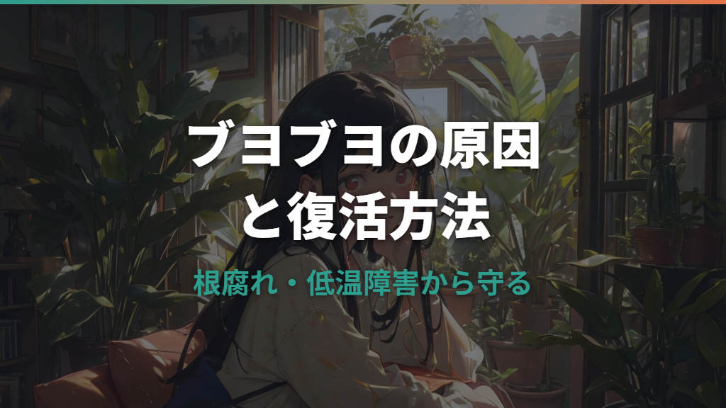 ガジュマルがブヨブヨする原因と復活させる対処法