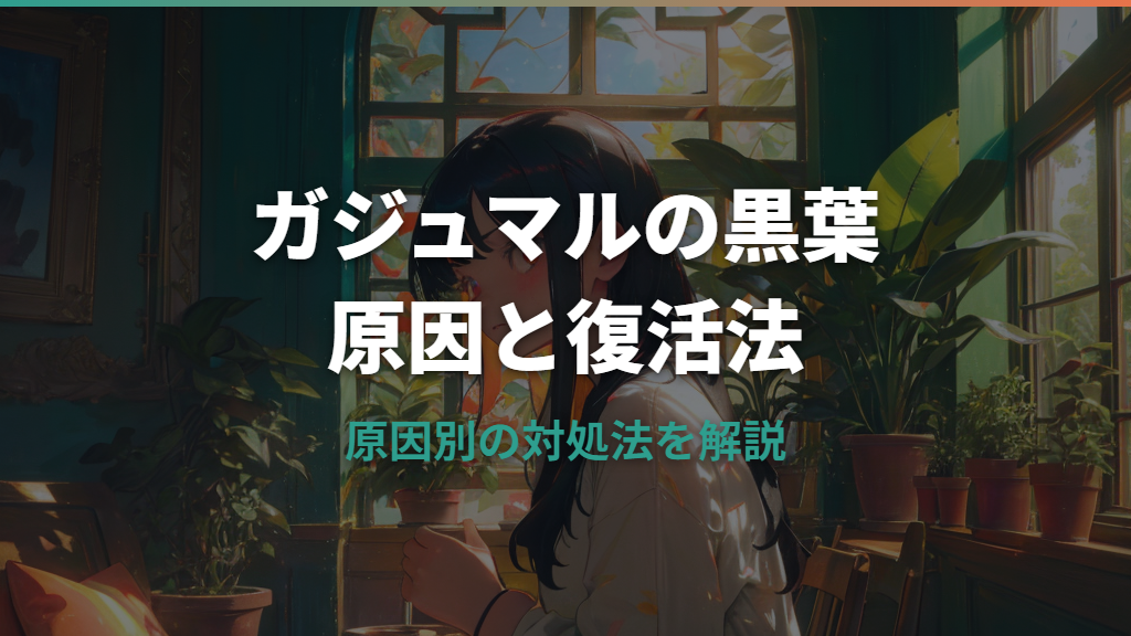 ガジュマルの葉っぱが黒くなる原因と復活方法